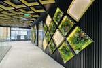 Poslovni prostor / Lokal, Sarajevo, Novo Sarajevo, izdavanje, 24m2, 1100e, id530