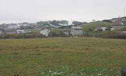 Plac, Cazin, Ćoralići bb, prodaja, 14108m2, 80e, id635